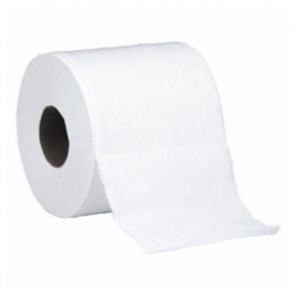 Toilet Paper (1 Roll).